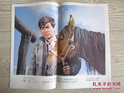 上海考驾照是国际驾照怎么申请
